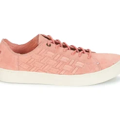 Toms - LENOX