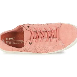 Toms - LENOX