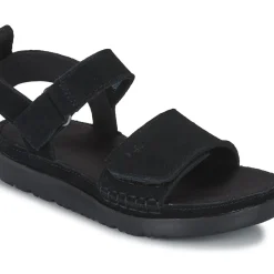 UGG - GOLDENSTAR