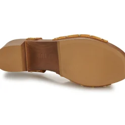 Unisa - TACO