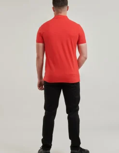 U.S Polo Assn. - KING