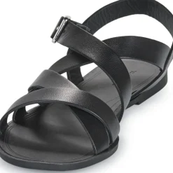 Vagabond Shoemakers - TIA 2.0