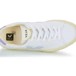 Veja - CAMPO CANVAS