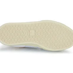 Veja - CAMPO CANVAS