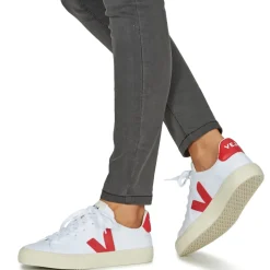 Veja - CAMPO CANVAS