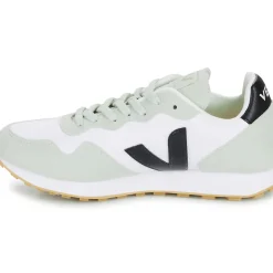 Veja - SDU REC