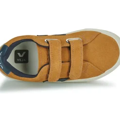 Veja - SMALL ESPLAR