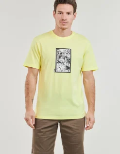 Volcom - MADITI BSC SST