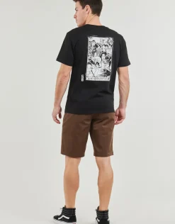 Volcom - MADITI BSC SST