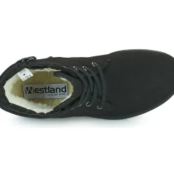 Westland - ORLEANS 126