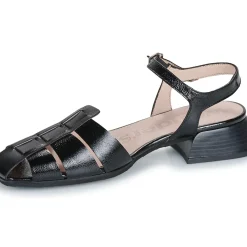 Wonders - C-7121-LACK-NEGRO