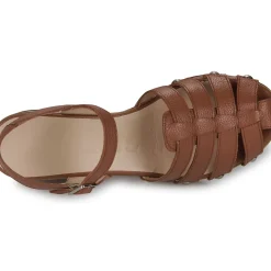 Wonders - D-9501-WILD